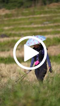 BIB:  <button type="button" onclick="openModal(26787363)" class="btn btn-primary btn-sm float-right" data-toggle="modal" data-target=".modal-high-quality">
                <i class="fa fa-download"></i> Download
                </button>